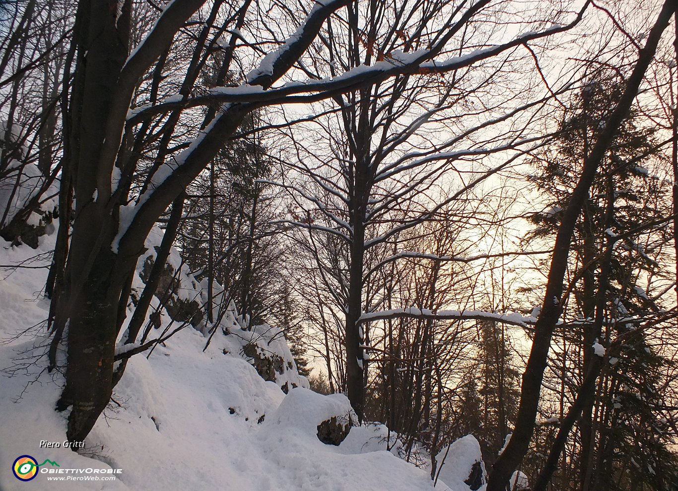 51 bello scendere nel bosco innevato....JPG
